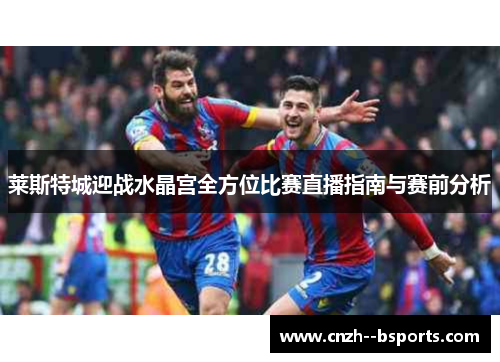莱斯特城迎战水晶宫全方位比赛直播指南与赛前分析 莱斯特城迎战水晶宫全方位比赛直播指南与赛前分析