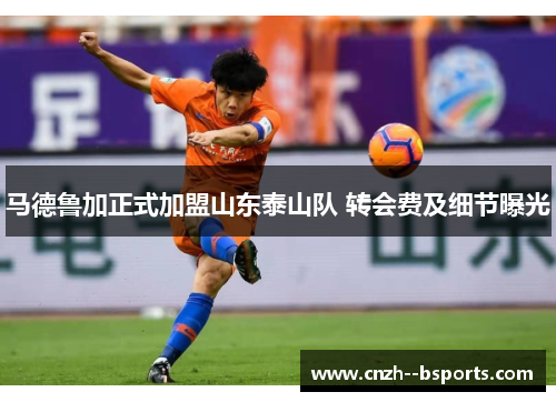 马德鲁加正式加盟山东泰山队 转会费及细节曝光 马德鲁加正式加盟山东泰山队 转会费及细节曝光